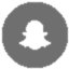 Snapchat Icon Medium Circle