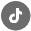 TikTok Icon Medium Circle