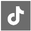 TikTok Icon Medium Square