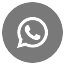 Whatsapp Icon Medium Circle